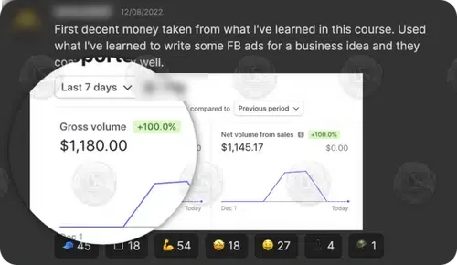 Stripe: $1,180.00 gross volume in 7 days from Facebook ads copywriting