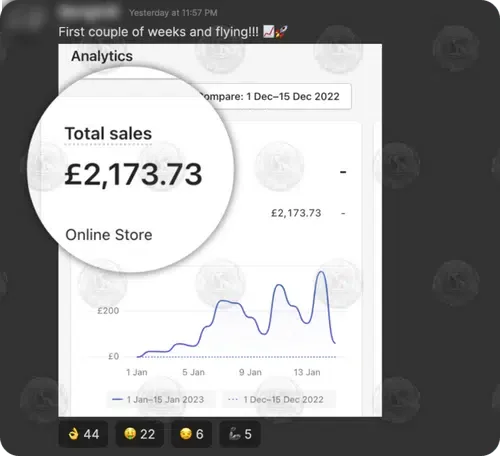Shopify analytics: £2,173.73 total sales in the first couple of weeks