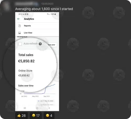 Shopify analytics: €5,850.82 total sales